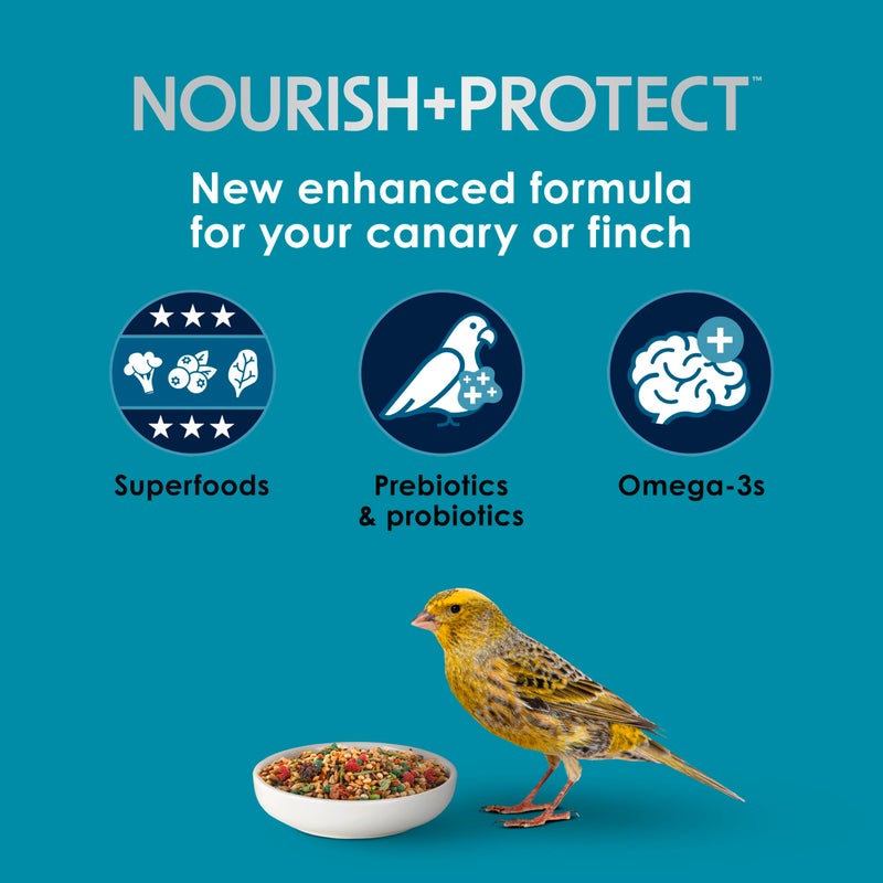 Kaytee Forti-Diet Pro Health Pet Canary & Finch Food, 2 lb - Image 3