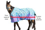 BLESSING PET SUPPLY Horse and Cow Blanket Cavas and Polar Fleece with frount Closer (165 CM) - Image 3