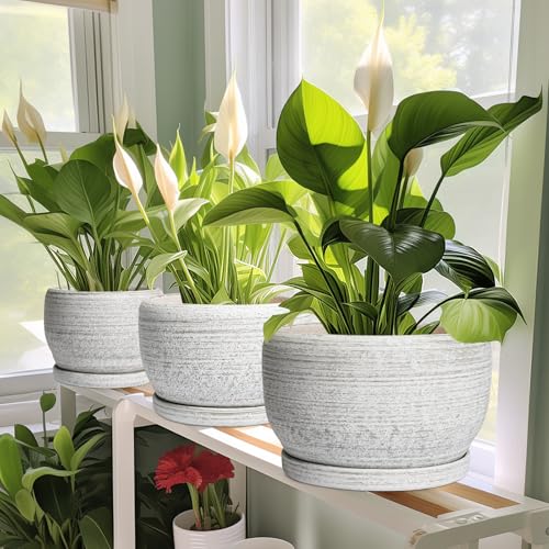 SQOWL Ceramic Planters for Indoor Plants - 6 Inch Plant Pot with Drainage Hole and Saucer, Small Ceramic Flower Pot, Round Decorative Planter Outdoor, Living Room Decor, Garden Gifts for Women, Gray - Image 5