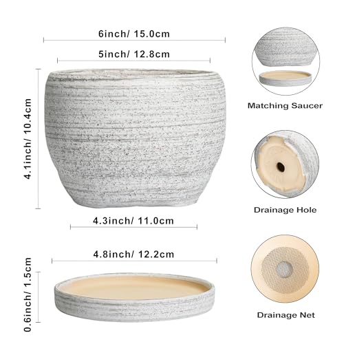 SQOWL Ceramic Planters for Indoor Plants - 6 Inch Plant Pot with Drainage Hole and Saucer, Small Ceramic Flower Pot, Round Decorative Planter Outdoor, Living Room Decor, Garden Gifts for Women, Gray - Image 3