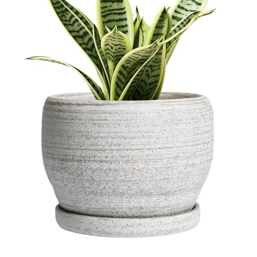 SQOWL Ceramic Planters for Indoor Plants - 6 Inch Plant Pot with Drainage Hole and Saucer, Small Ceramic Flower Pot, Round Decorative Planter Outdoor, Living Room Decor, Garden Gifts for Women, Gray - Image 1