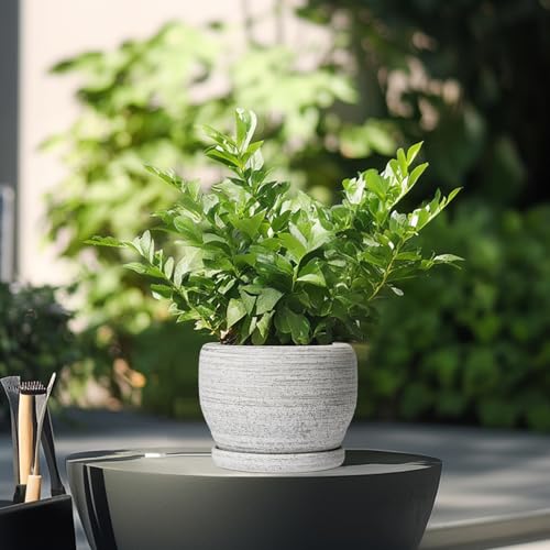 SQOWL Ceramic Planters for Indoor Plants - 6 Inch Plant Pot with Drainage Hole and Saucer, Small Ceramic Flower Pot, Round Decorative Planter Outdoor, Living Room Decor, Garden Gifts for Women, Gray - Image 4