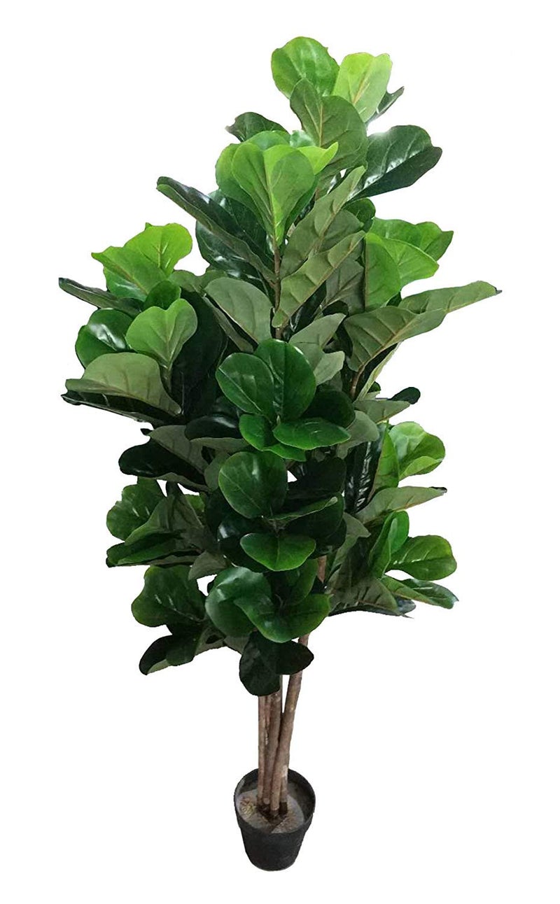 AMERIQUE Gorgeous  Dense 5 Fiddle Leaf Fig Tree Artificial Silk Plant with UV Protection with Nursery Plastic Pot Feel Real Technology Super Quality Green