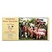 SUNSOUT INC Making New Friends 300 pc Jigsaw Puzzle by Artist Tom Wood Finished Size 18 x 24 MPN 28870 - Image 4