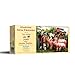 SUNSOUT INC Making New Friends 300 pc Jigsaw Puzzle by Artist Tom Wood Finished Size 18 x 24 MPN 28870 - Image 2