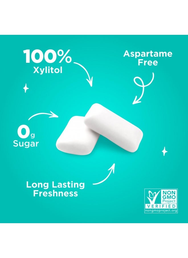 Pur - Pur Gum | Aspartame Free Chewing Gum | 100% Xylitol | Sugar Free, Vegan, Gluten Free And Keto Friendly | Natural Wintergreen Flavored Gum, 55 Pieces (Pack Of 3) - Image 1