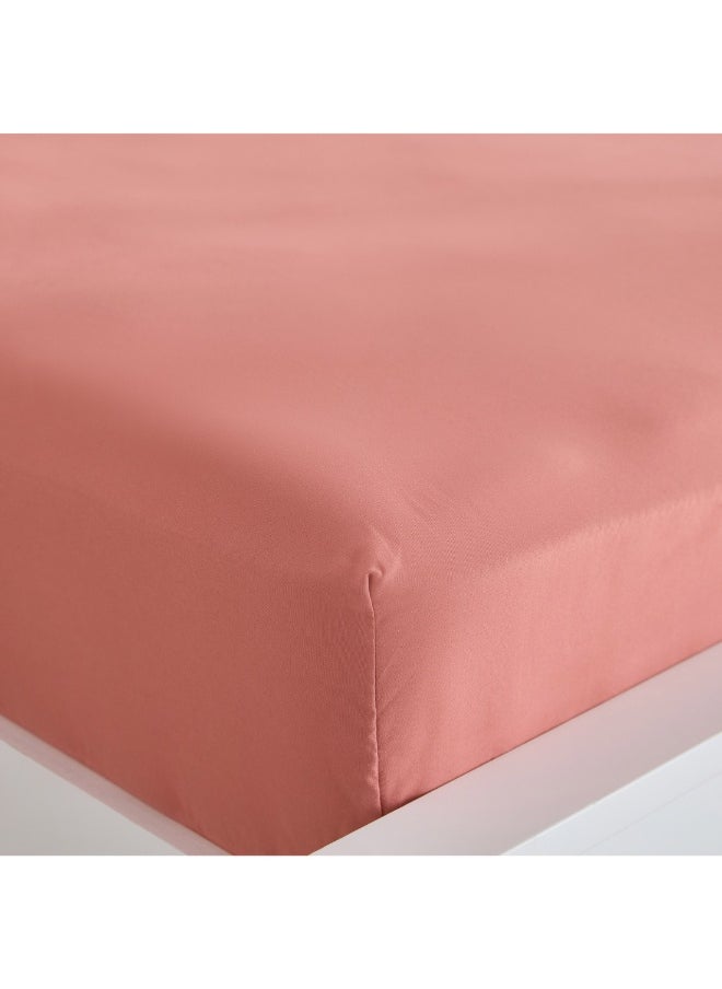 Home Box Derby Solid Microfiber Queen Fitted Sheet 150 X 200 X 25 Cm  - Image 1