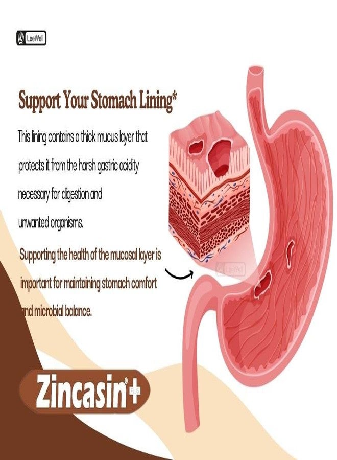 Zincasin® +Plus Powder Advanced Gut Health Supplement | Leaky Gut Care, Acid Reflux, Stomach Ulcer, Gastric Mucosa Lining Protection | H Pylori & Digestive tract health | Zinc Carnosine, Mastic Gum, Licorice Root (DGL), L Glutamine, Vitamin U, N-Acetyl Glucosamine, Slippery Elm, Butyric Acid, Probiotics -180gram (Sugar-free) - Image 4