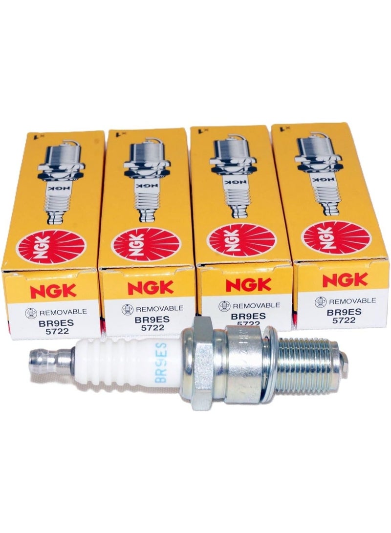 NGK BR9ES Standard Spark Plug - Image 1