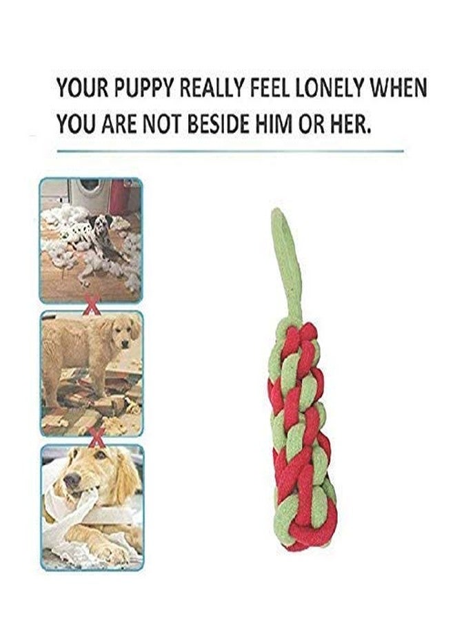 Pet Believe Combo of 3 Durable Pet Teeth Cleaning Chewing Biting Knotted Small Puppy Toys -100% Natural & Safe Cotton (Color May Vary) - Image 5