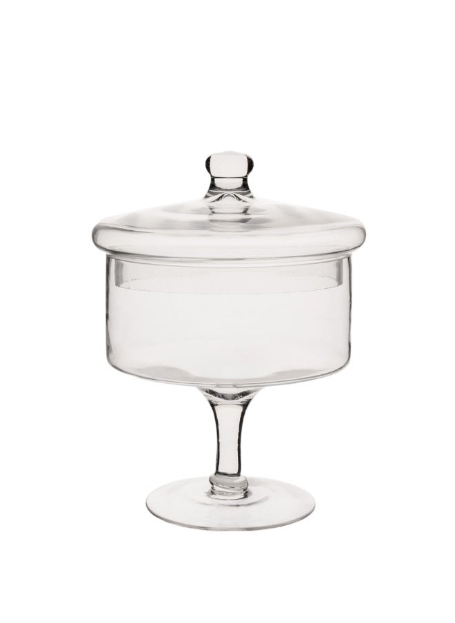 Gulf Flowers Glass Vase with Lid Candy Bar  Decorative glass vase with lid, ideal for stylish storage or display 