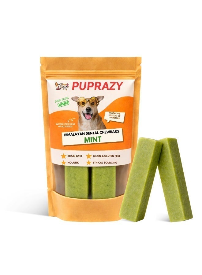 PUPRAZY Mint Flavor - Puprazy Yak Cheese Himalayan Dog Chew Bars - Image 1
