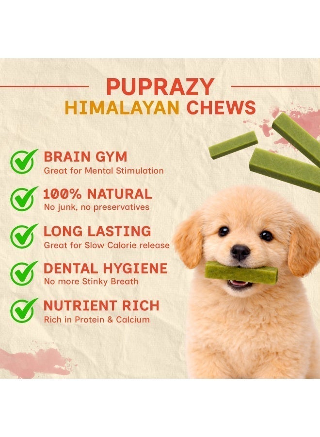 PUPRAZY Mint Flavor - Puprazy Yak Cheese Himalayan Dog Chew Bars - Image 2