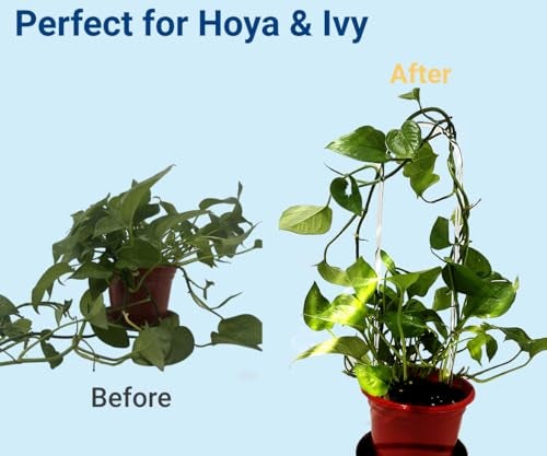 CHOUYUHE 2 Pack U-Shaped Clear Acrylic Plant Supports - 14 inches Indoor/Outdoor Climbing Vine Trellis for Potted Plants, Ideal for Ivy & Tropical Houseplants,Plant Support Hoya Trellis - Image 4