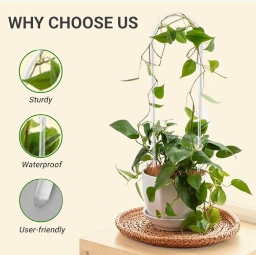CHOUYUHE 2 Pack U-Shaped Clear Acrylic Plant Supports - 14 inches Indoor/Outdoor Climbing Vine Trellis for Potted Plants, Ideal for Ivy & Tropical Houseplants,Plant Support Hoya Trellis - Image 3