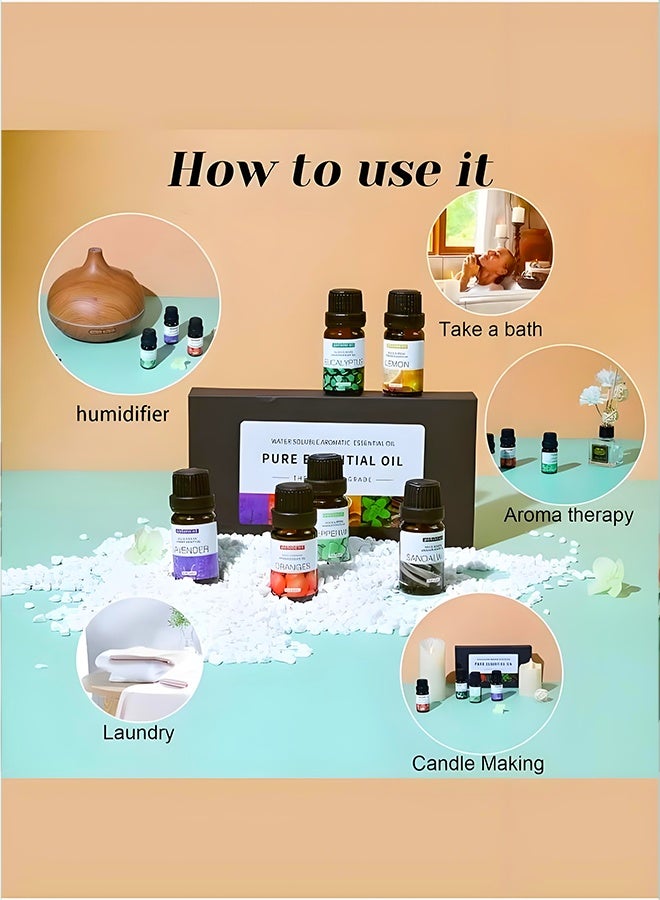 Areon 12pcs x 10mL Aromatherapy Essential Oils Set – Water-Soluble Diffuser Oils for Humidifier, Helps Relaxation & Relieves Dry Skin – Sandalwood, Sweet Orange, Lavender, Eucalyptus, Lemon, Mint - Image 5