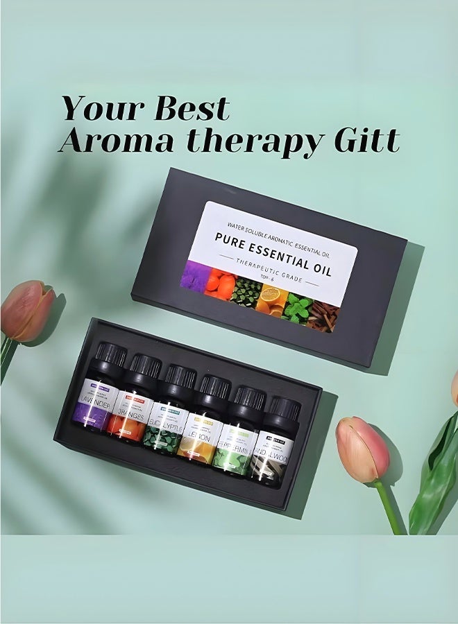 Areon 12pcs x 10mL Aromatherapy Essential Oils Set – Water-Soluble Diffuser Oils for Humidifier, Helps Relaxation & Relieves Dry Skin – Sandalwood, Sweet Orange, Lavender, Eucalyptus, Lemon, Mint - Image 4