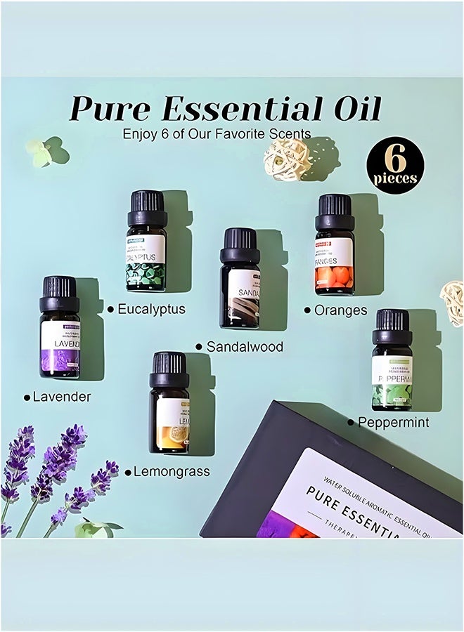 Areon 12pcs x 10mL Aromatherapy Essential Oils Set – Water-Soluble Diffuser Oils for Humidifier, Helps Relaxation & Relieves Dry Skin – Sandalwood, Sweet Orange, Lavender, Eucalyptus, Lemon, Mint - Image 2