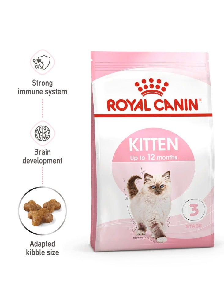 تغذية صحية للقطط الصغيرة 2 كجم