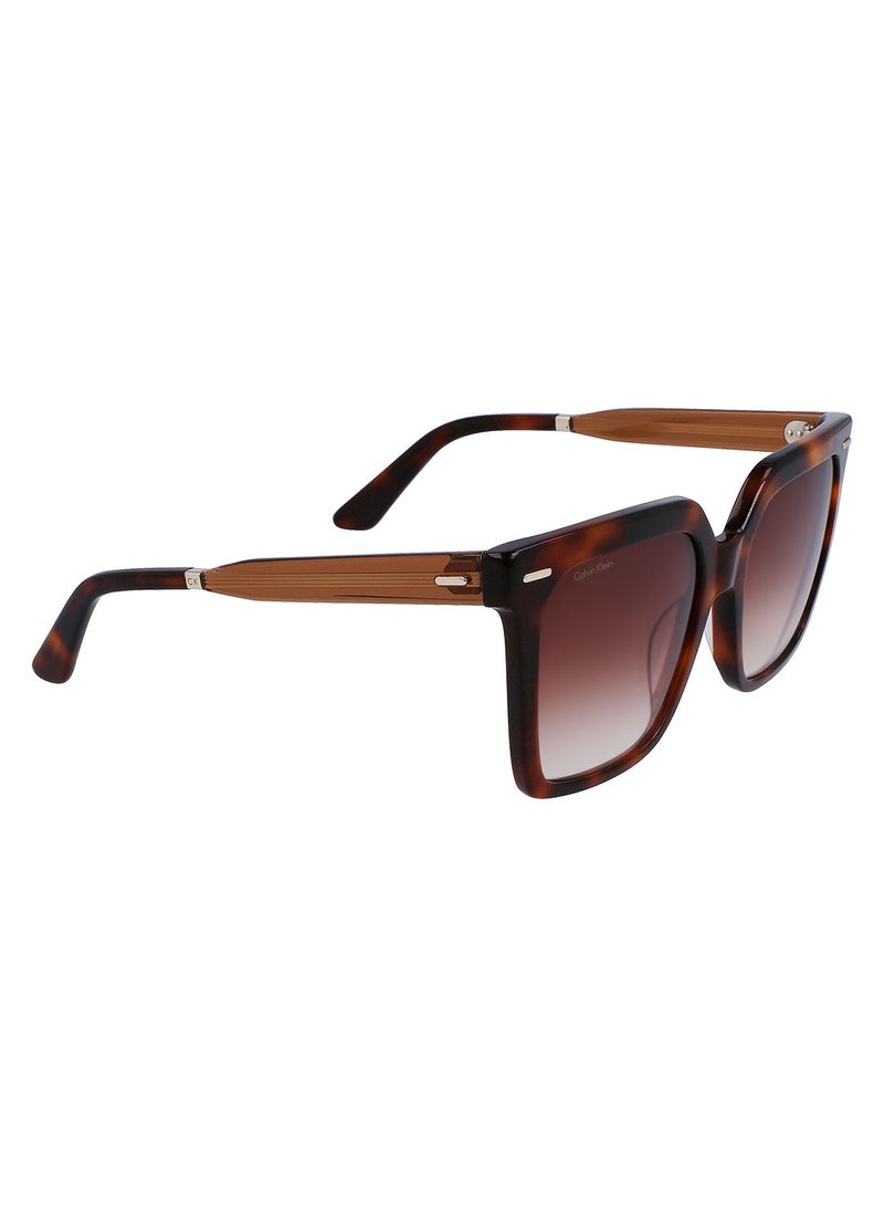 CALVIN KLEIN Full Rim Acetate Square Calvin Klein Sun Ck22534S 5518 (220) Brown Havana  - Image 2