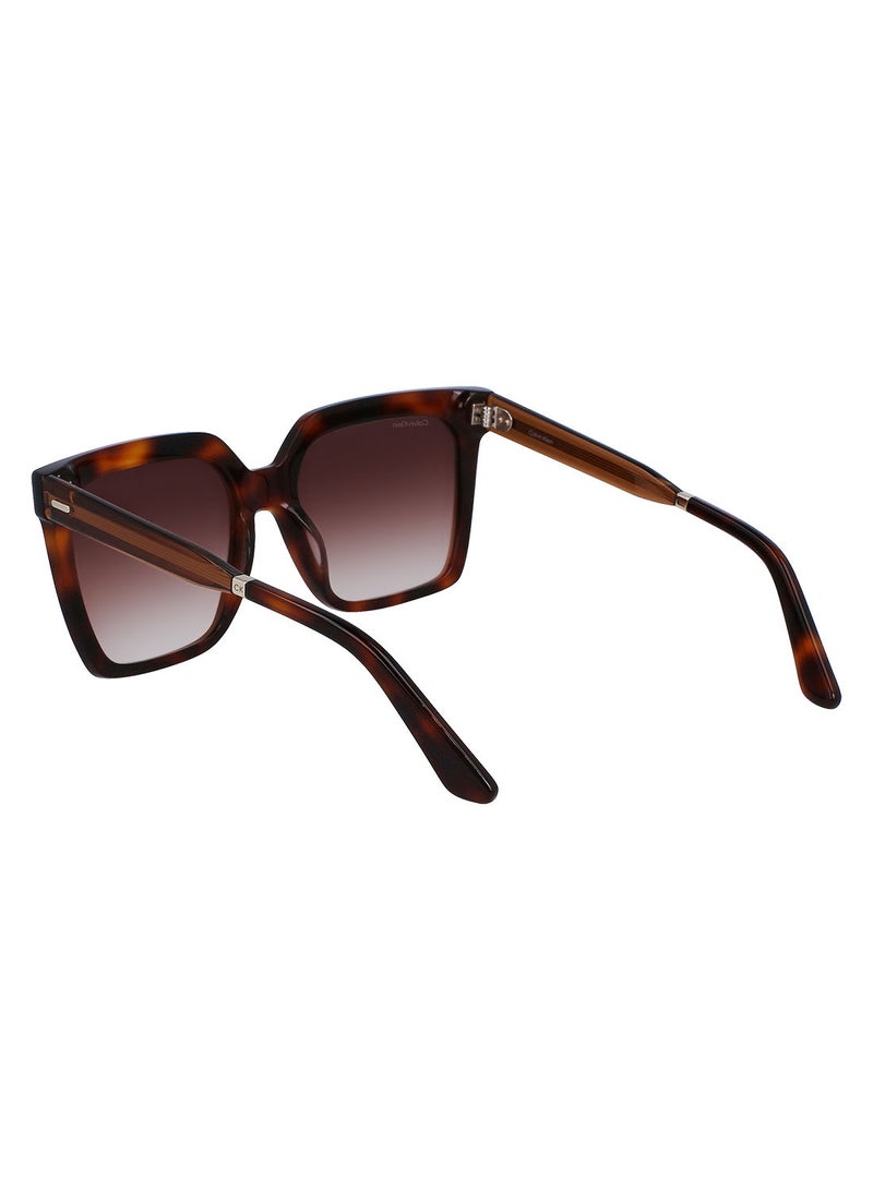 CALVIN KLEIN Full Rim Acetate Square Calvin Klein Sun Ck22534S 5518 (220) Brown Havana  - Image 3