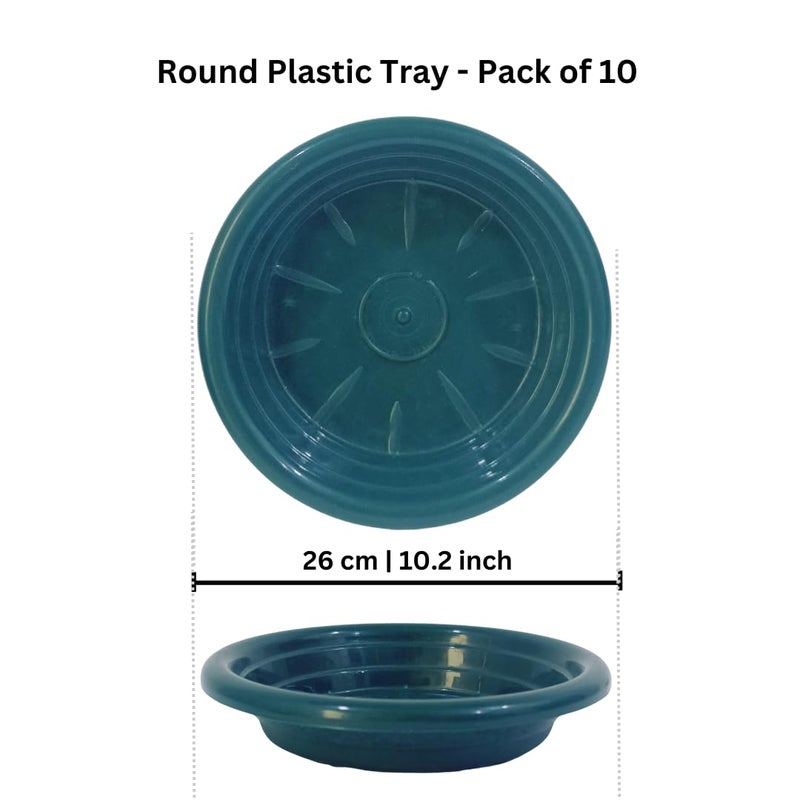 Oasis Pack of 10 Round Floral Foam Holders – Wet Foam Trays for Fresh Flower Arrangements, Wedding Centerpieces, Parties, Events, and Home Table Decor – Reusable and Multipurpose - Image 3