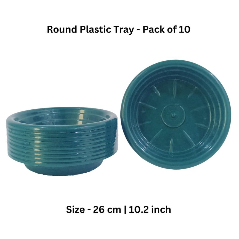 Oasis Pack of 10 Round Floral Foam Holders – Wet Foam Trays for Fresh Flower Arrangements, Wedding Centerpieces, Parties, Events, and Home Table Decor – Reusable and Multipurpose - Image 2