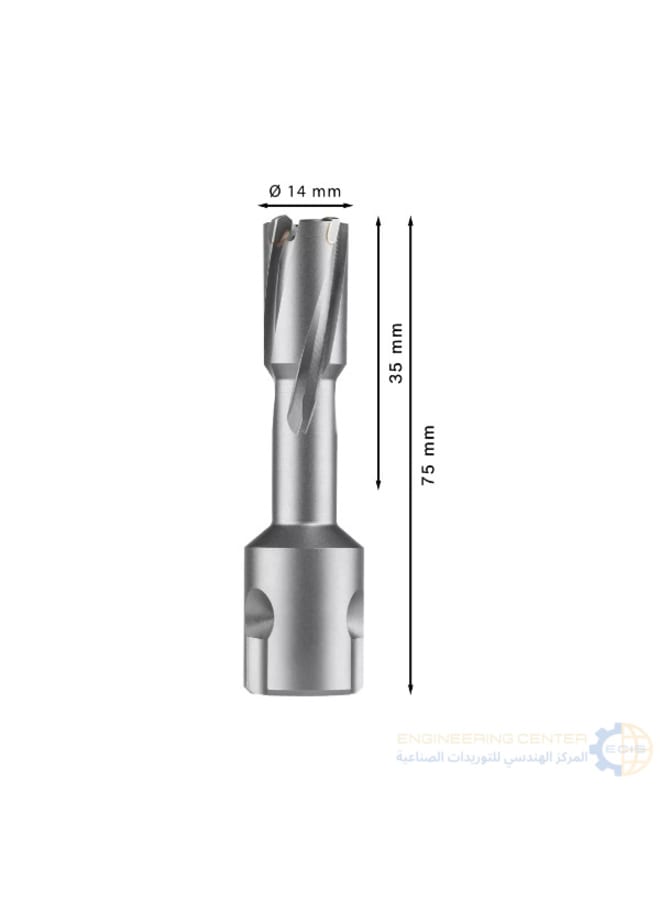 BOSCH Magnetic bit 3.5 cm x 14 mm Bosch