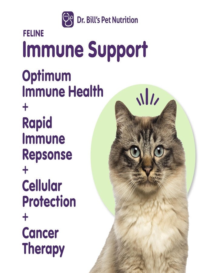Dr. Bill's Dr. Bill’s Feline Immune Support | Boosts Cat Immunity and Health with Colostrum, Beta Glucan, Turkey Tail Mushroom, Zinc & Vitamin C | Powder Supplement for Cats of All Ages - Image 3