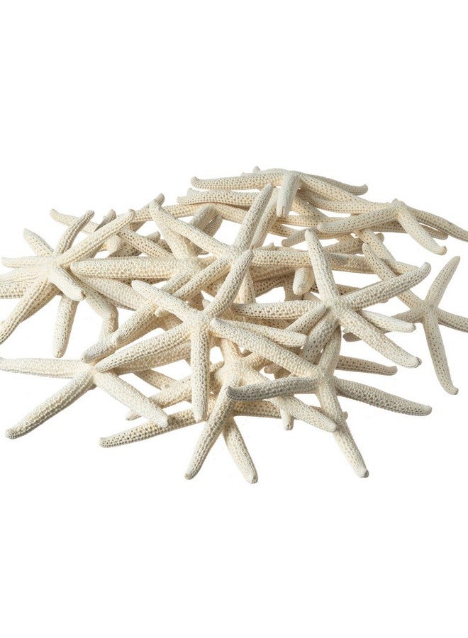 Nautical Crush Trading Starfish Decor - Star Fish for Craft - 20pk Real 4-5" White Sea Stars - Beach Wedding Decor - Coastal Party Decorations - Seashell Decor - Shells for Crafts - Nautical Decor - Bulk Shells for Crafts - Image 2