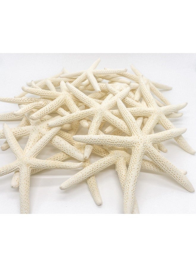 Nautical Crush Trading Starfish Decor - Star Fish for Craft - 20pk Real 4-5" White Sea Stars - Beach Wedding Decor - Coastal Party Decorations - Seashell Decor - Shells for Crafts - Nautical Decor - Bulk Shells for Crafts - Image 5