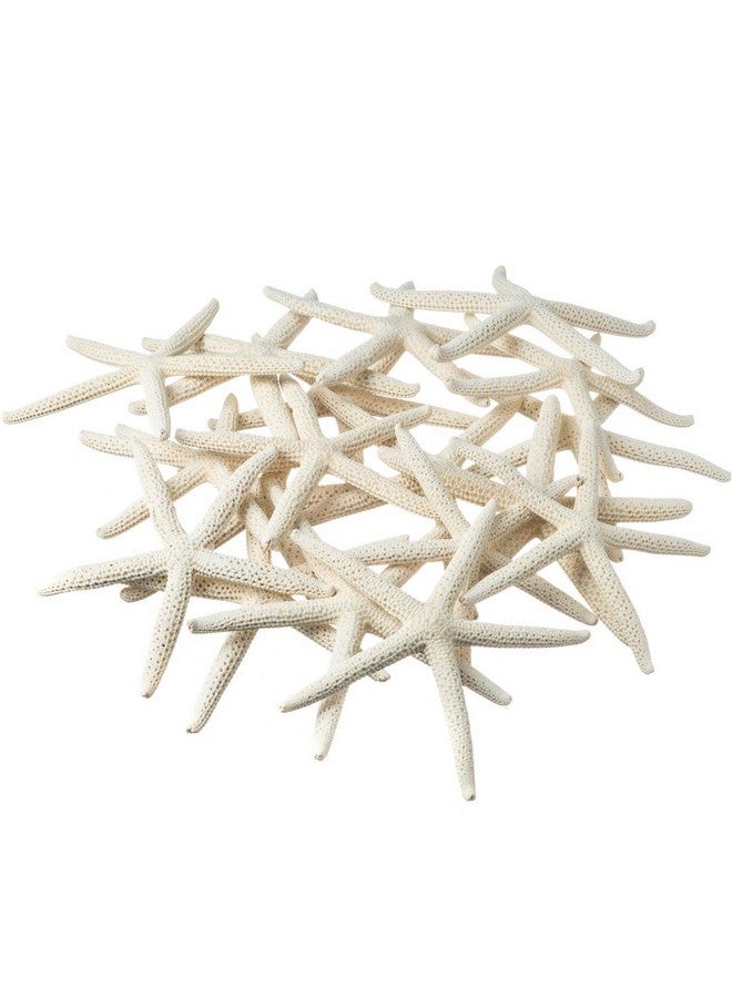 Nautical Crush Trading Starfish Decor - Star Fish for Craft - 20pk Real 4-5" White Sea Stars - Beach Wedding Decor - Coastal Party Decorations - Seashell Decor - Shells for Crafts - Nautical Decor - Bulk Shells for Crafts - Image 1
