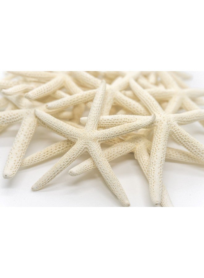 Nautical Crush Trading Starfish Decor - Star Fish for Craft - 20pk Real 4-5" White Sea Stars - Beach Wedding Decor - Coastal Party Decorations - Seashell Decor - Shells for Crafts - Nautical Decor - Bulk Shells for Crafts - Image 4