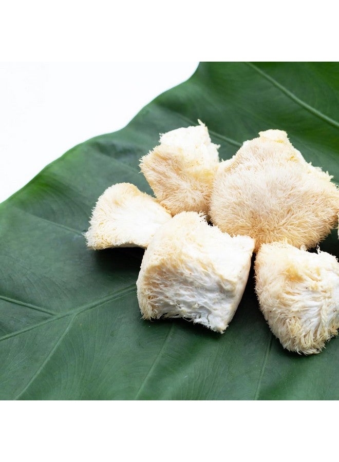 Jovvily Lion's Mane Mushroom Extract, 1 lb, Hericium Erinaceus Extract, Herbal Supplement, Always Pure - Image 4
