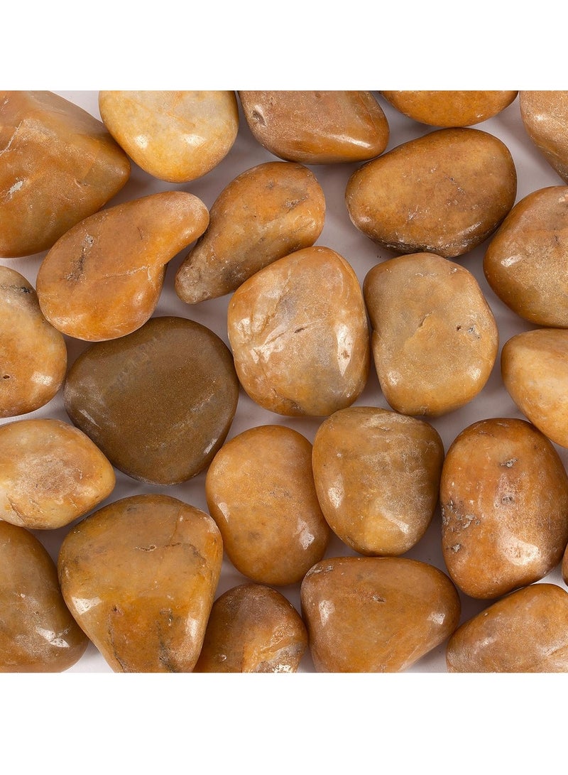 RR BRAND River Rocks Pebbles for Plants Natural Decorative Polished Stones for Planters Succulent Rocks (1KG)  - Image 1