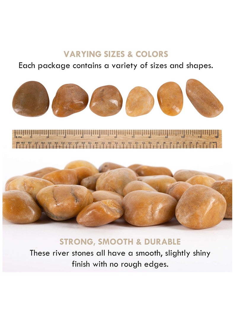 RR BRAND River Rocks Pebbles for Plants Natural Decorative Polished Stones for Planters Succulent Rocks (1KG)  - Image 2