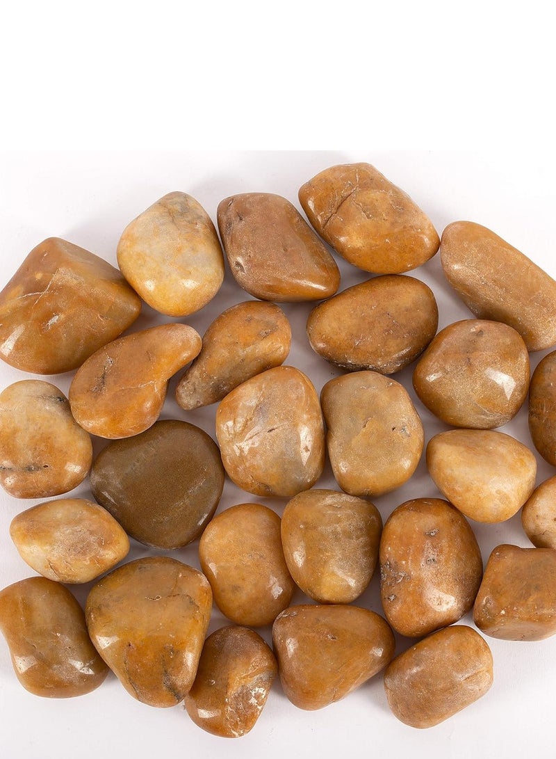 RR BRAND River Rocks Pebbles for Plants Natural Decorative Polished Stones for Planters Succulent Rocks (1KG)  - Image 3