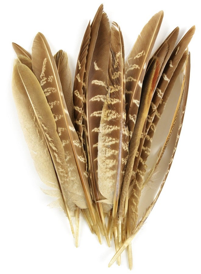38192 Pheasant Wing Quill 7 Inch