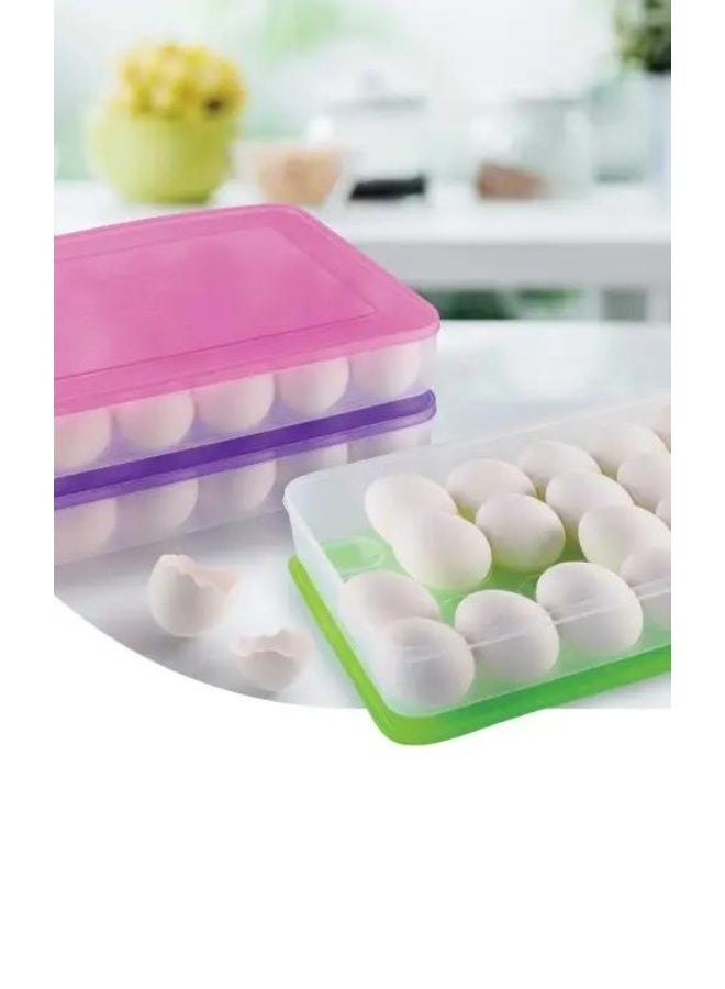 Lamsa Plast Plastic egg holder from Lamset Plast - Image 2