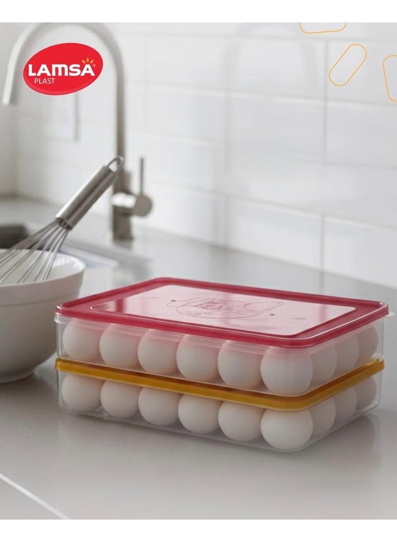 Lamsa Plast Plastic egg holder from Lamset Plast - Image 1