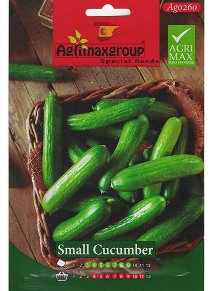 أجريماكس بذور خيار صغيرة عالية الجودة من Agrimaxgroup - Image 1