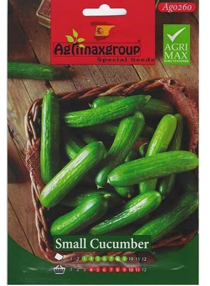 أجريماكس بذور خيار صغيرة عالية الجودة من Agrimaxgroup - Image 2