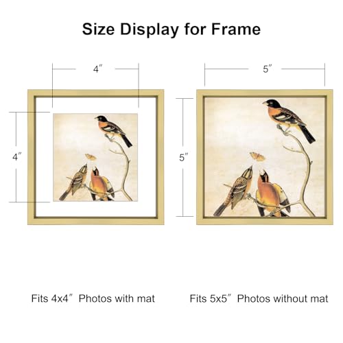 BKABOT 5x5 Picture Frame, Brass Metal Photo Frames with HD Glass, Fits 4x4 with Mat or 5 x 5 without Mat, Display for Wall and Table, 3 Pack - Image 2