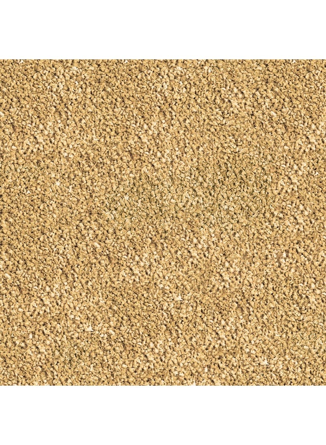 سيرا حبيبات بيتا 50 مل - Image 2