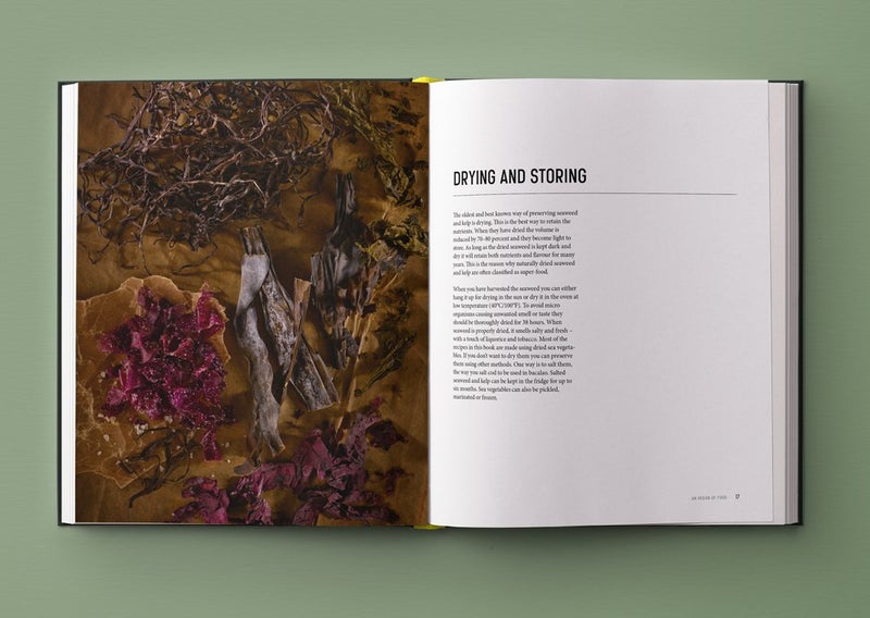 الطحالب: محيط من الطعام - Image 4