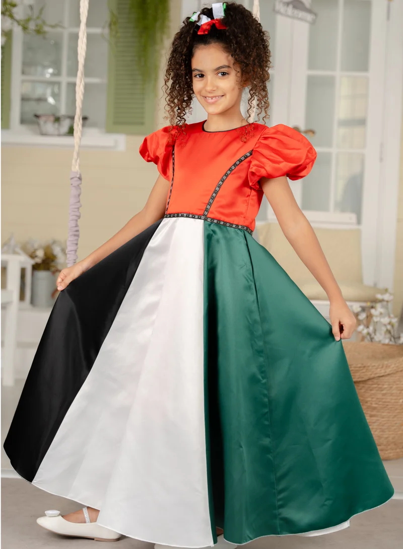 D'Daniela Colorblock Satin Dress