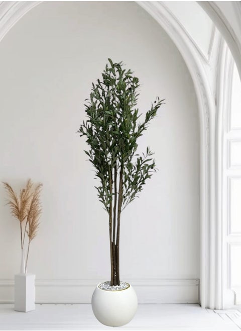 Fruitful olive tree with a large gray pot, with an attractive design, make your home more elegant, 180 cm