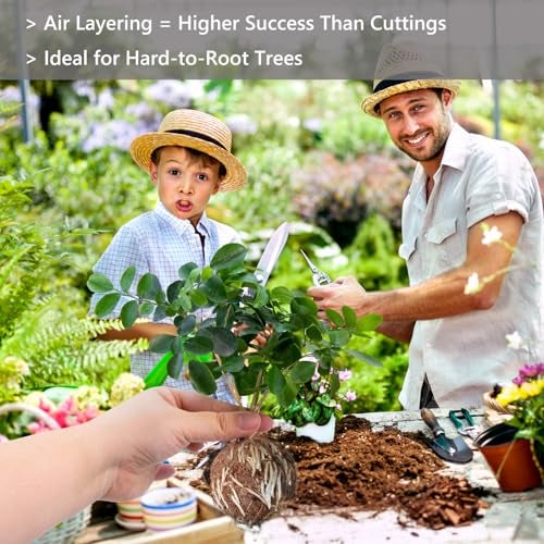 Lazzineer Tree Root Growing Box – Air Layering Propagation Pods for Woody Plants, Reusable Transparent Rooting Device for Magnolia, Fig, Citrus & Roses (10pcs Small, 3–9mm Branches) - Image 2