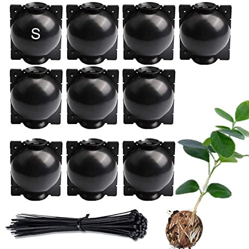 Lazzineer Tree Root Growing Box – Air Layering Propagation Pods for Woody Plants, Reusable Transparent Rooting Device for Magnolia, Fig, Citrus & Roses (10pcs Small, 3–9mm Branches) - Image 1