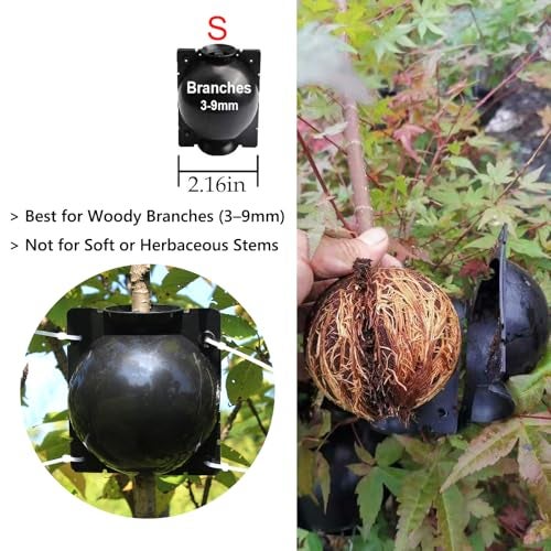 Lazzineer Tree Root Growing Box – Air Layering Propagation Pods for Woody Plants, Reusable Transparent Rooting Device for Magnolia, Fig, Citrus & Roses (10pcs Small, 3–9mm Branches) - Image 3